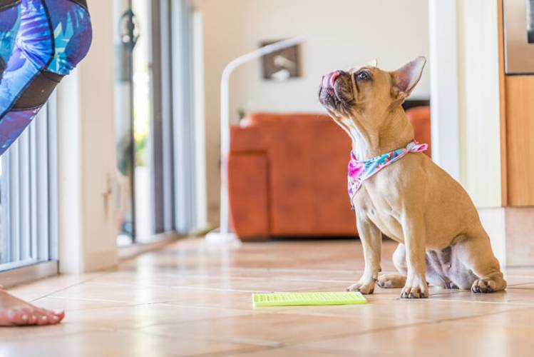 LickiMat® Playdate Różowa