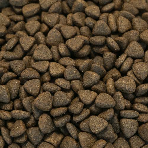 Karma sucha dla psa Senior - Indyk z wolnego wybiegu z pietruszką, papają, pokrzywą, cukinią i dynią 2kg