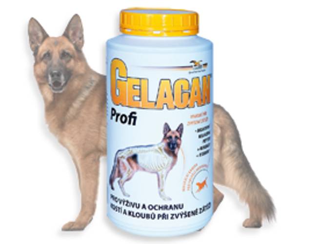 Gelacan Profi z Aquamin® - 1 kg
