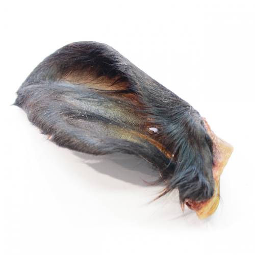 Ucho wołowe z futrem XL- 1szt.