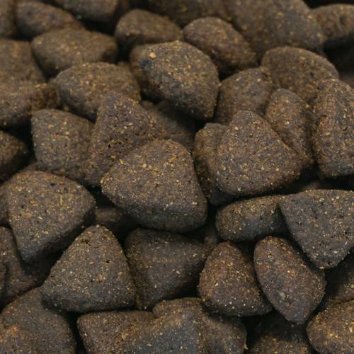 Karma sucha dla psa Senior - Szkocki łosoś z koprem, szpinakiem, fenkułem, szparagami i pomidorem 2kg