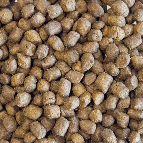 Karma sucha dla psa - Kurczak z indykiem, łososiem, batatami i marchewką 12kg