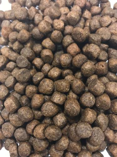 Karma sucha dla psa - Łosoś z plamiakiem, błękitkiem, batatami i szparagami 12kg