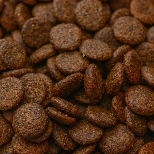 Karma sucha dla psa - Dziczyzna z jelenia z batatami i morwą 2kg