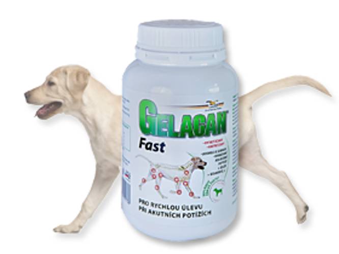 GELACAN® Fast 150 g