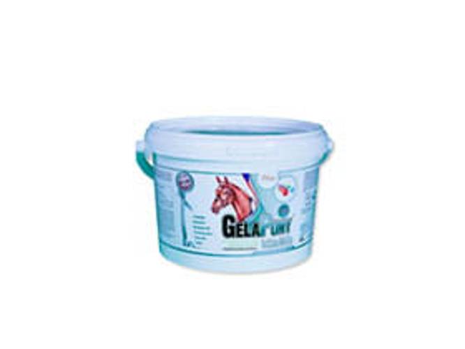 GelaPony Vitamin - 900 g