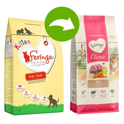 Feringa Kitten Classic, kaczka