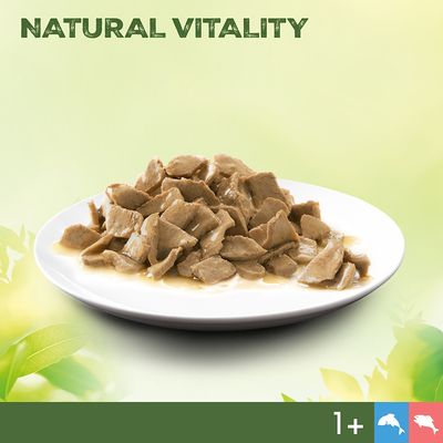 Perfect Fit Natural Vitality Adult 1+, łosoś i biała ryba