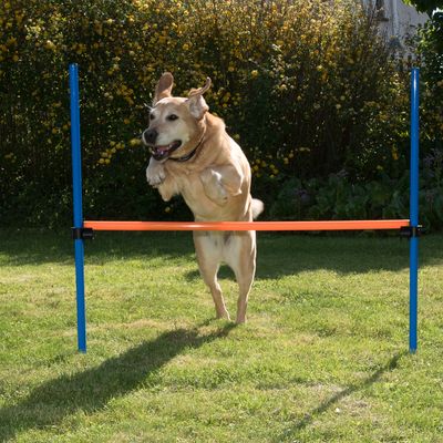 Agility Fun & Sport Płotki