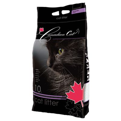 Benek Canadian Cat, lawenda