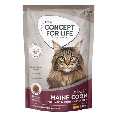 Concept for Life Maine Coon Adult