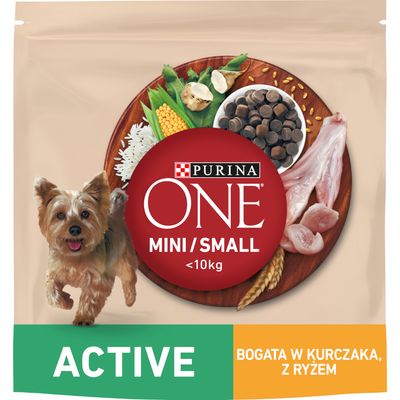 PURINA ONE Mini Active, kurczak i ryż