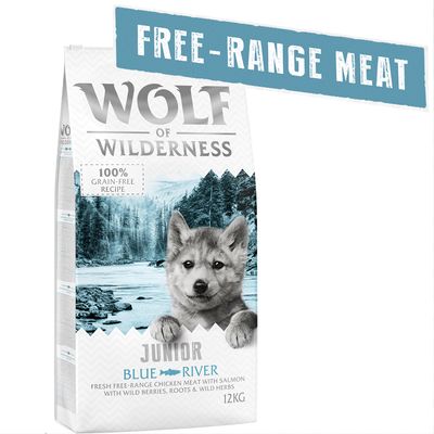 Wolf of Wilderness Junior "Blue River", łosoś i kurczak z wolnego wybiegu