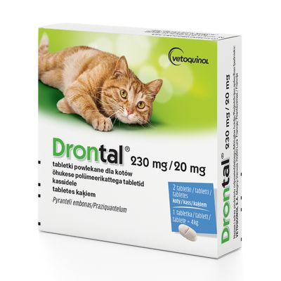 Drontal, tabletki na robaki i pasożyty u kota