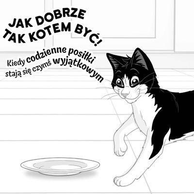 Megapakiet Felix w galarecie, So gut wie es aussieht, 80 x 85 g