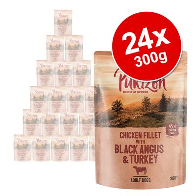 Megapakiet  Purizon Adult, 24 x 300 g