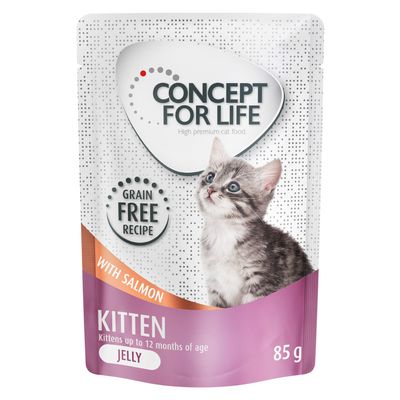 Concept for Life Kitten w galarecie, łosoś - bez zbóż