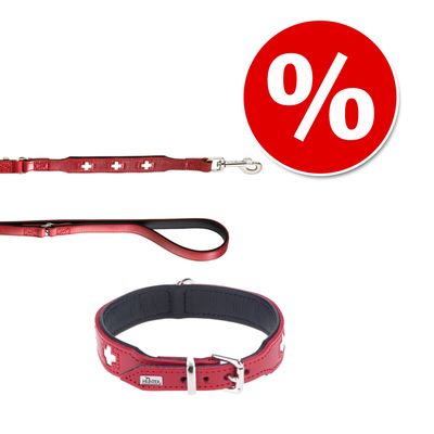 Komplet Hunter: obroża + smycz Swiss