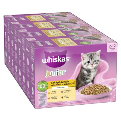 Megapakiet Whiskas Junior w saszetkach, 48 x 85 g