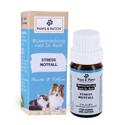 PAWS & PATCH Stress Notfall