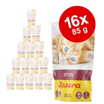 Josera Paté Kitten, 16 x 85 g