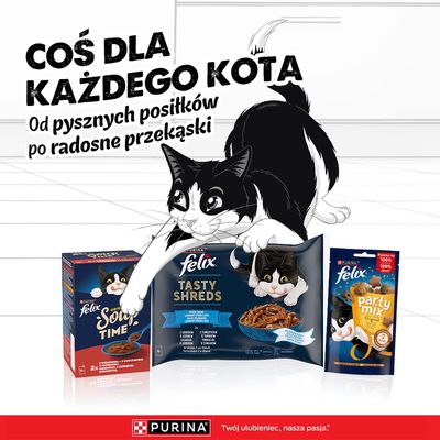 Megapakiet Felix Tasty Shreds, w sosie, 120 x 80 g