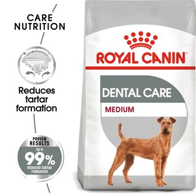 Royal Canin CCN Dental Care Medium