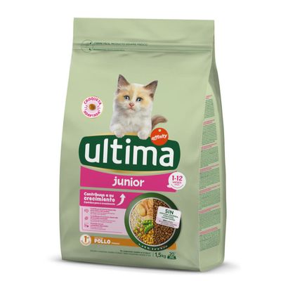 Ultima Cat Junior, kurczak