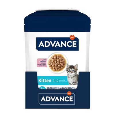 Advance Kitten, indyk