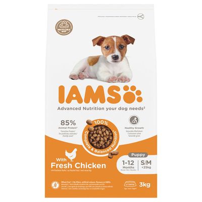 IAMS Advanced Nutrition Puppy Small / Medium Breed, kurczak