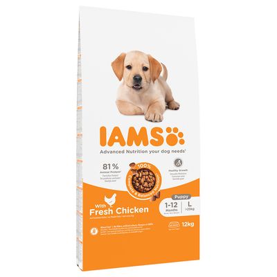 IAMS Advanced Nutrition Puppy Large, kurczak