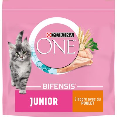 PURINA ONE Junior 1-12 miesięcy kurczak dla kociąt