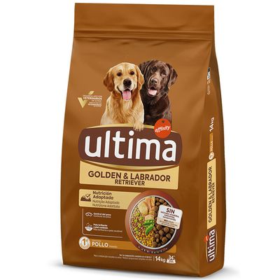 Ultima Golden & Labrador Retriever, kurczak
