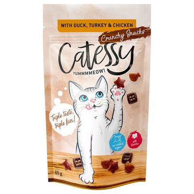 Catessy Crunchy Snacks, 65 g