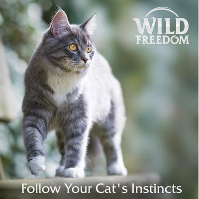 Wild Freedom Adult Sterilised, bezzbożowa receptura, 6 x 200 g