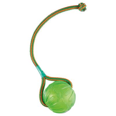 Starmark, piłka Swing n' Fling