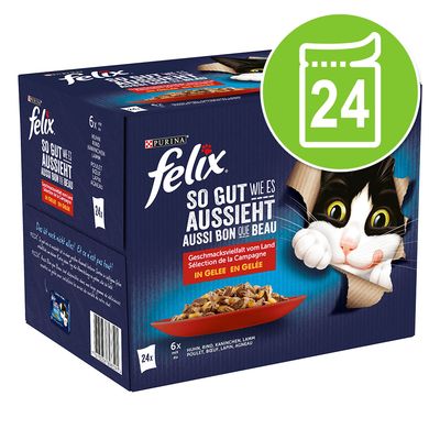 Felix Fantastic w galarecie, So gut wie es aussieht, 24 x 85 g