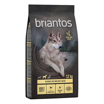 Briantos Adult Mobility, kurczak z ziemniakami, bez zbóż