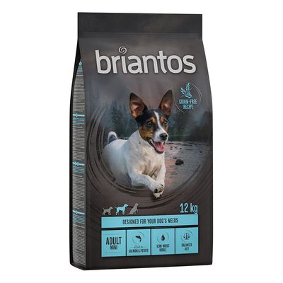 Briantos Adult Mini, łosoś z ziemniakami, bez zbóż