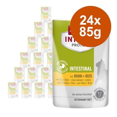 animonda Integra Protect Adult Intestinal, 24 x 85 g