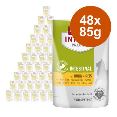 Pakiet animonda Integra Protect Adult Intestinal, 48 x 85 g