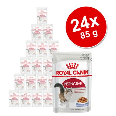 Megapakiet Royal Canin, 24 x 85 g