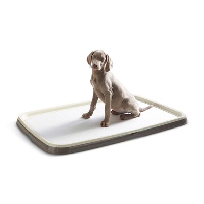 Savic Puppy Trainer Starter Set, kuweta dla psa i wkładki