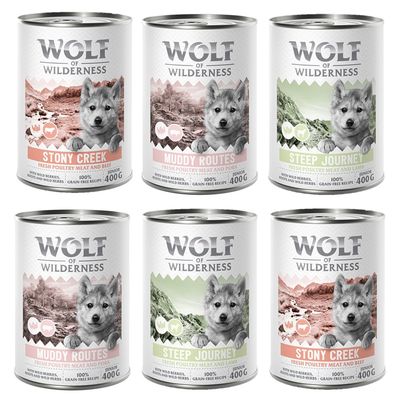 Pakiet mieszany Wolf of Wilderness JUNIOR