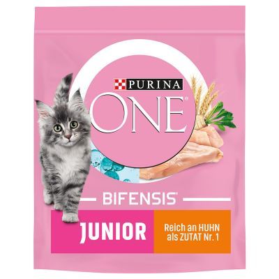 PURINA ONE Junior