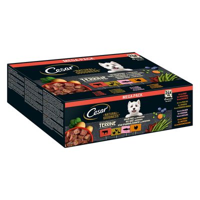 Cesar Natural Goodness Superfoods, 24 x 100 g