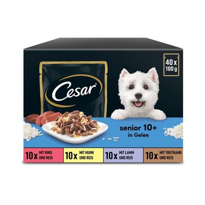 Cesar saszetki w galaretce Senior 10+