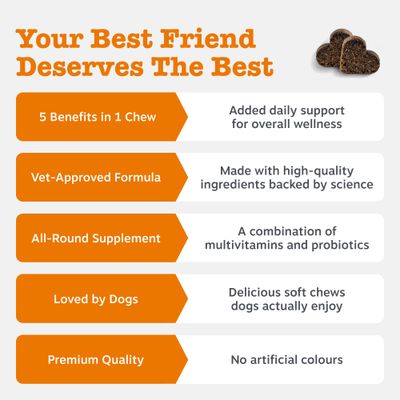 Zesty Paws 5-in-1 Chews, z indykiem