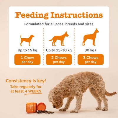 Zesty Paws Calming Chews, z indykiem