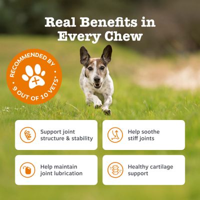 Zesty Paws Hip & Joint Chews, z indykiem